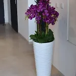 Zakatek ウストカ
